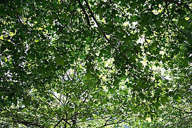 《燕云十六声》移动端公测将开启 有更多可探索区域